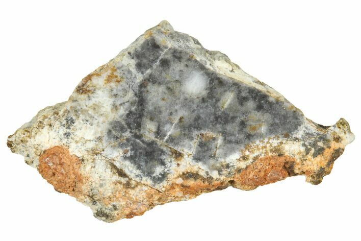 Lunar Meteorite ( g) Slice - Bechar #360550
